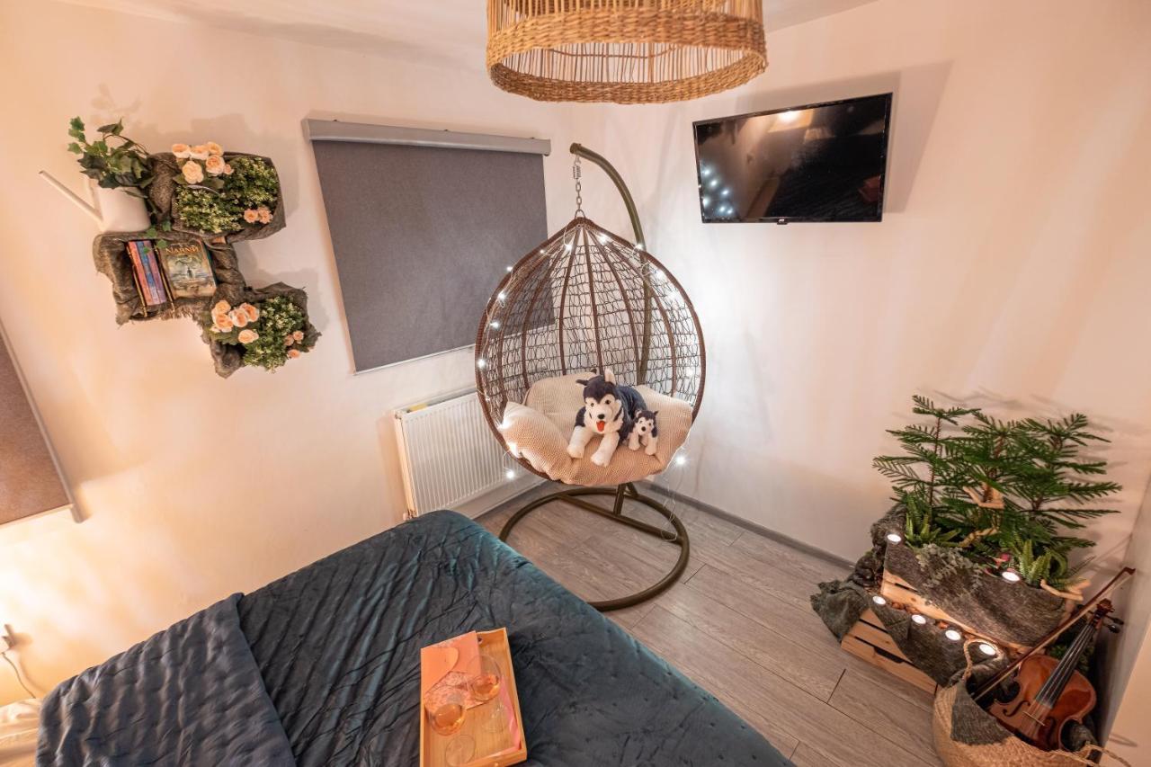 Forest Work & Relax Accommodation Overstone Exteriér fotografie
